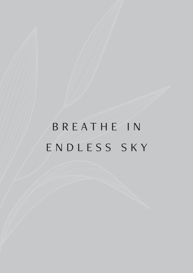 Gallery Highlight 12